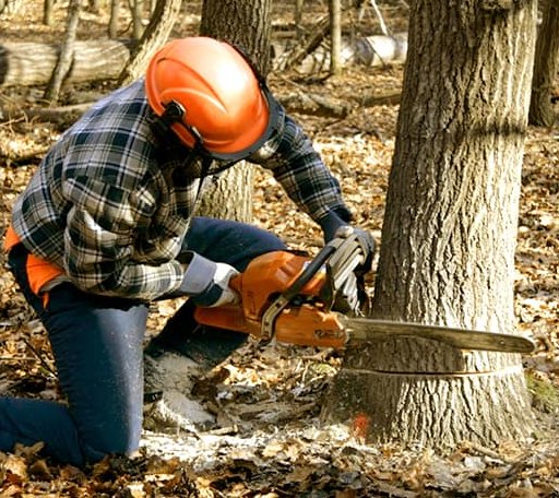 Tree Removal in Strang, OK